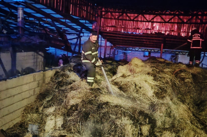 Burdur'da elektrik telinden düşen kıvılcımla samanlık, odunluk ve traktör küle döndü