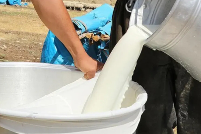 Ulusal Süt Konseyi çiğ süt tavsiye fiyatını duyurdu