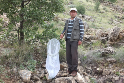 Keşfettiği yeni böcek türüne eşinin adı olan "Emine" ismini koydu