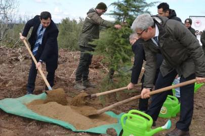 Bursa'da denetimli serbestlik yükümlüleri fidan dikti