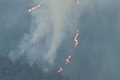 Balıkesir'de orman yangını