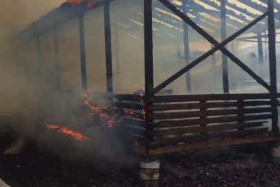 Bursa'da at çiftliğinde yangın paniği