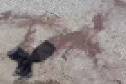 Ankara'da komşu iki esnaf sopalar ile birbirine girdi: 7 yaralı