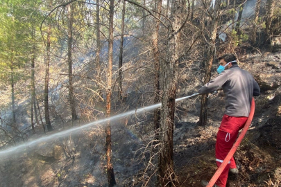 Antalya Gazipaşa’daki orman yangını kontrol altına alındı