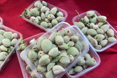 Bursa'da fiyatı cep yakan şifa deposu badem çağlası gramla satılıyor!