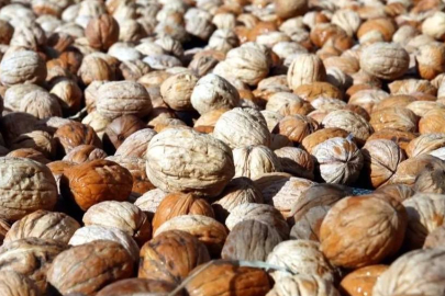 Cevizde menşei oyunu! Çin ürünü yerli diye satılıyor...