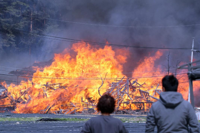 Güney Kore'deki orman yangınları 15 bin hektarlık alanı kül etti