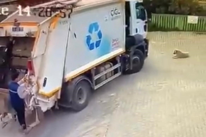 İzmir'de Çiğli Belediyesi çöp kamyonu köpeği ezdi, durmadan yoluna devam etti