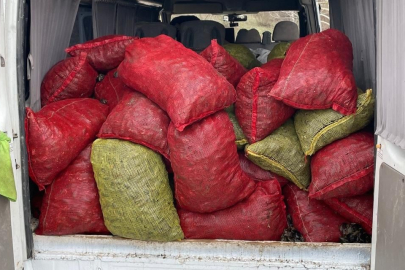 Samsun'da 2 ton kaçak midye ele geçirildi