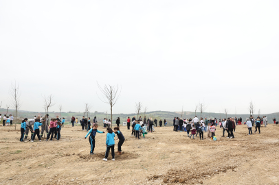 Bursa Nilüfer’de fidanlar toprakla buluştu