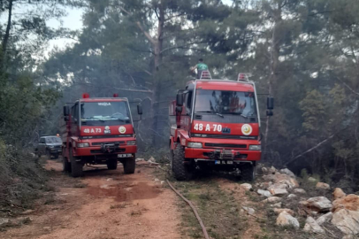 Milas yangını kontrol altına alındı