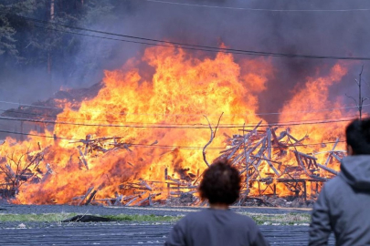 Güney Kore'deki orman yangınları kontrol altına alındı