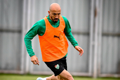 Timsah Özlüce’de toplanıyor!