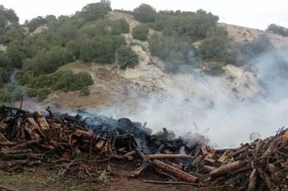 Odun yığınından başlayan yangın paniğe neden oldu