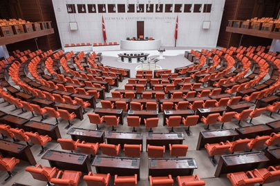 TBMM'den ilginç talepler: "Kediler Şehri" ve "Köpekler Şehri" kurulsun