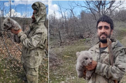 Çoban kardeşler ayı yavrusunu köpeklerin saldırısından kurtarıp doğaya bıraktılar