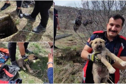 Kuyuya düşen yavru köpek, itfaiye tarafından kurtarıldı