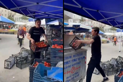 Tepki olarak domatesleri çöpe dökmüştü! O pazarcı yandı... Ticaret Bakanlığı harekete geçti