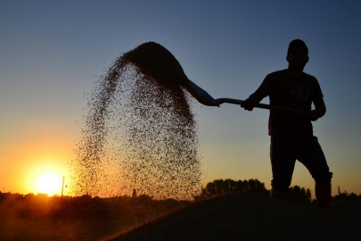 Çiftçilere 8,4 milyar lira destek ödemesi