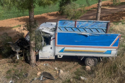 Şanlıurfa'da kamyonet ağaca çarptı, sürücü yaralandı