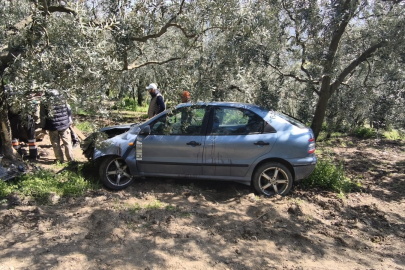 Bursa'da yola çıkan köpek kazaya neden oldu!