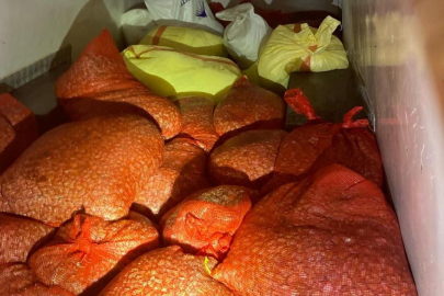 Kaçak midye avına 37 bin lira ceza