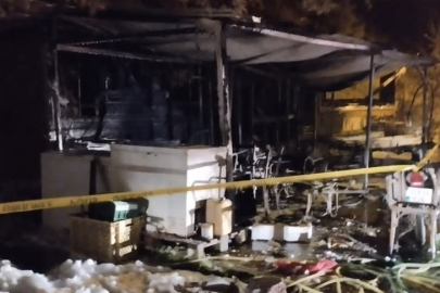 Balıkesir'de balık evi alevlere teslim oldu