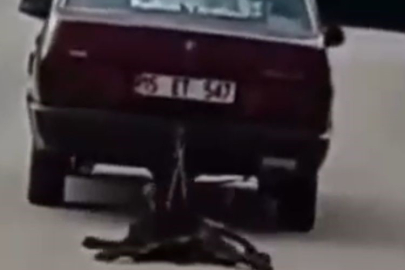 Burdur'da köpeği aracının arkasında sürükleyen şahıs tutuklandı