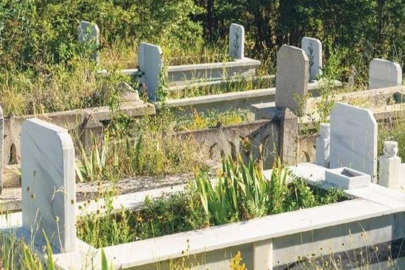 Herkes şoke oldu: Martta gömüldü, temmuzda dirildi!