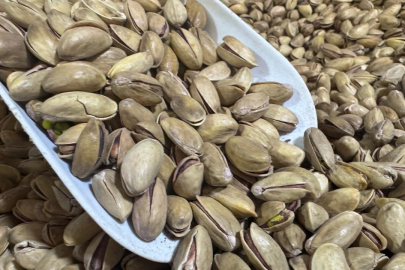 Türkiye'den yılın ilk çeyreğinde 59,7 milyon dolarlık fıstık ihracatı