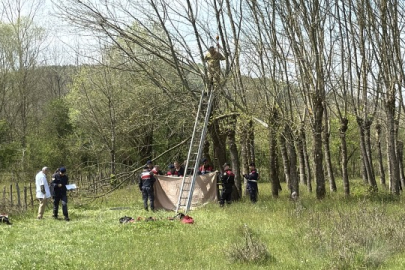 Budamak için çıktığı ağacın dalları arasında hayatını kaybetti