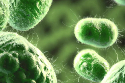 Ölümcül antibiyotik dirençli “süper bakteri” tespit edildi