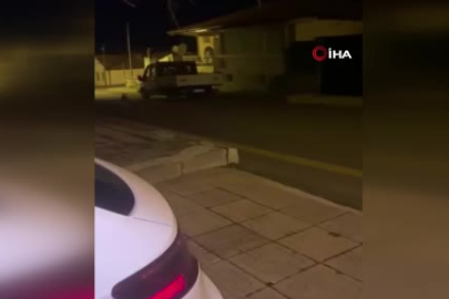 Aç kalan yaban hayvanları şehir merkezlerine indi