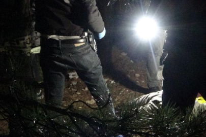 Bir süredir haber alınamıyordu: Ağaca asılı halde ölü bulundu!