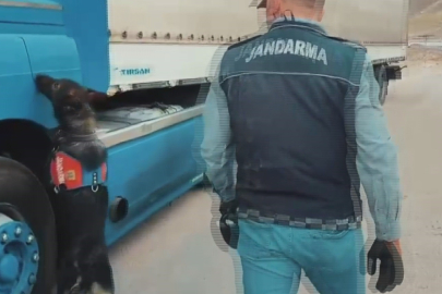 Kayseri'de sigara kaçakçıları tütün tespit köpeğinden kaçamadı