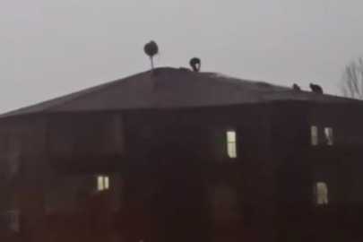 Hakkari Yüksekova’da fırtına ve sağanak etkili oldu: Evlerin çatıları uçtu, yollar su altında kaldı