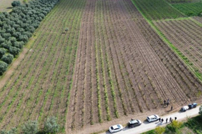 Bursa'nın İznik Ovası'na 'don' şoku! Üzücü açıklama geldi...