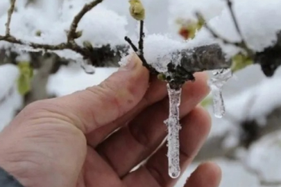 Bursalılar dikkat: Valilikten don uyarısı geldi!