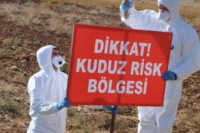 Hatay'da kuduz alarmı! Bölge karantinaya alındı