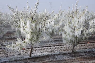 Don felaketi: Bursa'da zarar tespiti yapılacak!