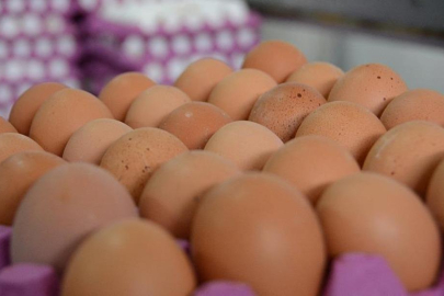 En ucuz protein kaynağıydı: Birkaç ayda 2 katına çıktı!