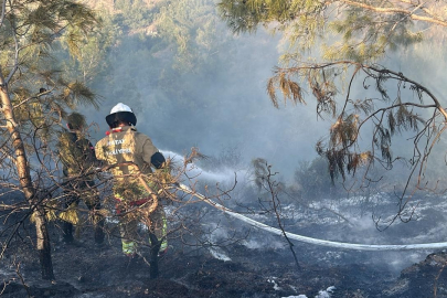 Hatay’da orman yangını