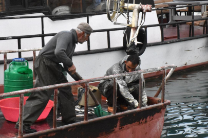 İnci kefalinin göç yolculuğuna sıkı takip