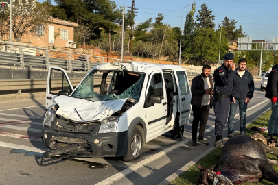 Gaziantep'te yola fırlayan ata sivil polis otosu çarptı