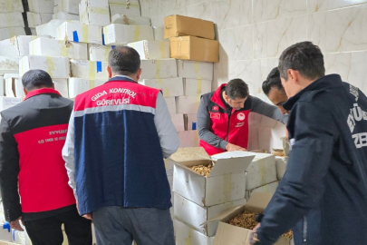 Şanlıurfa'da 11 ton kurtlanmış ceviz içi ele geçirildi