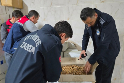 11 ton kurtlanmış ceviz ele geçirildi