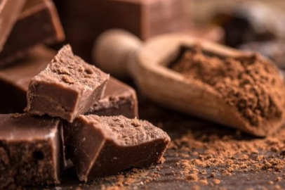 Çikolata krizi kapıda: 2030'a kadar tüm kakao ağaçları yok olabilir!