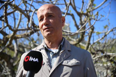 Bursa'da üreticiler zirai dona rağmen umutlu