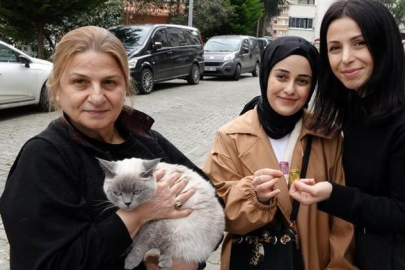 Trabzon'da kayıp kedisi ‘Badem’i bulana altın hediye etti