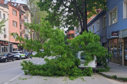 Bursa'da kırılan ağaç, kamyonetin üzerine devrildi